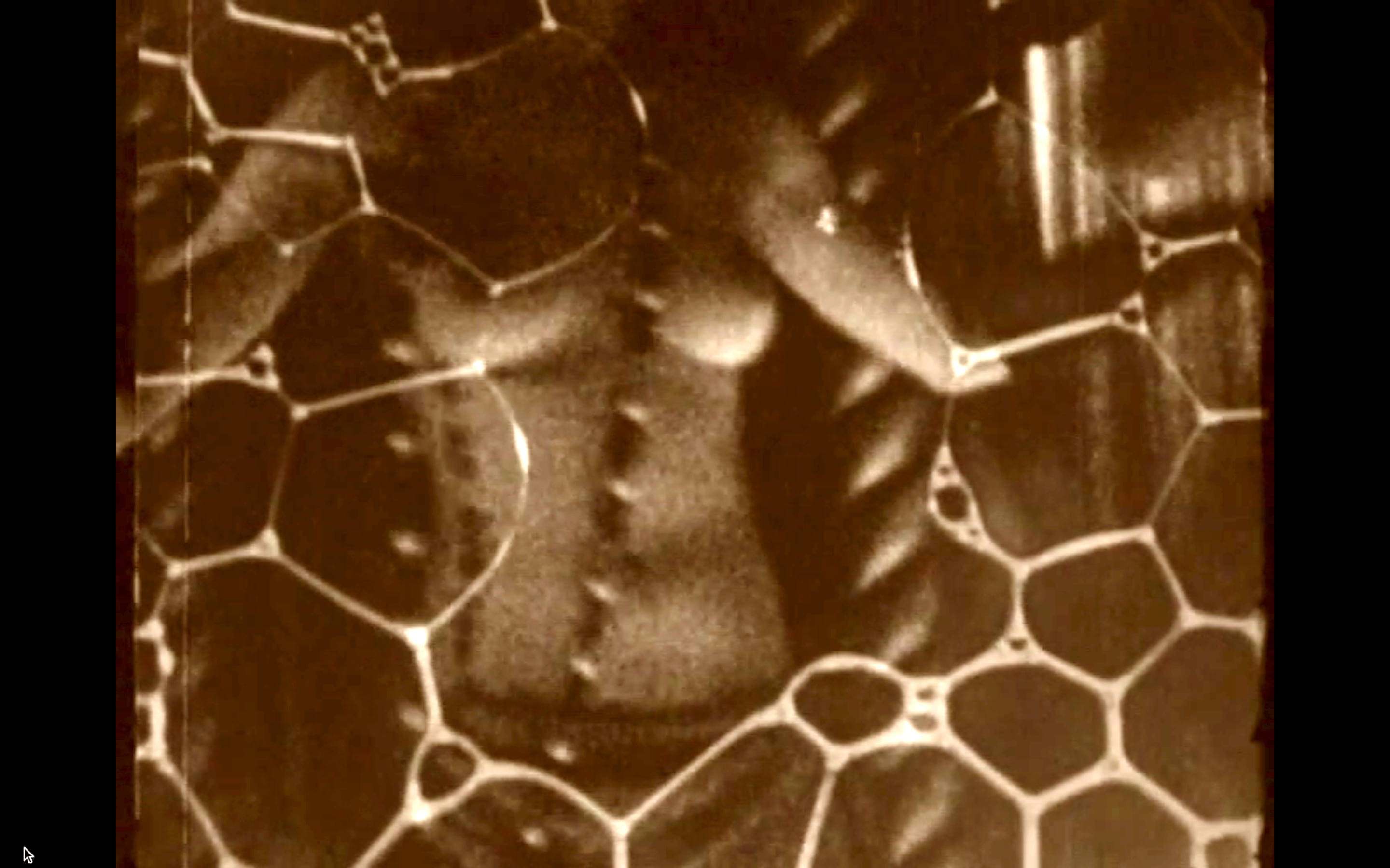 Ellipsis: Tina Bastajian and Anne van Es